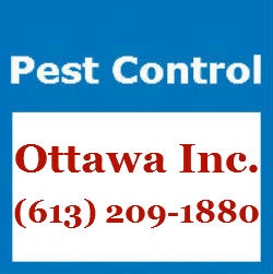 Pest Control Ottawa Inc.