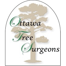 Ottawa Tree Surgeons & Consultants Inc.