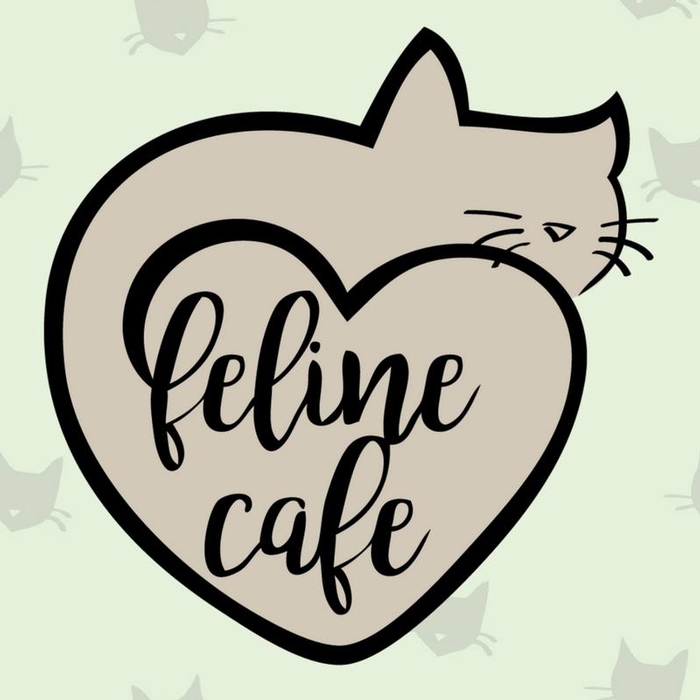 Feline Café