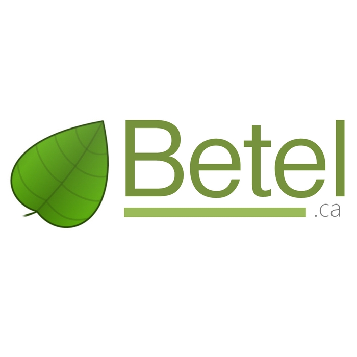 Betel Group Inc