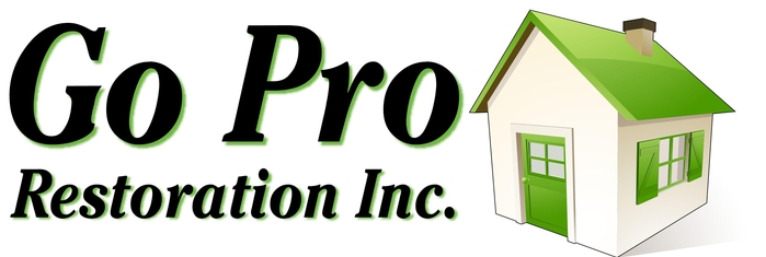 Go Pro Restoration Inc.